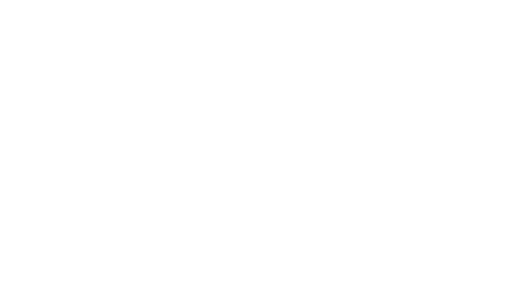 BSM A/S — vision in steel